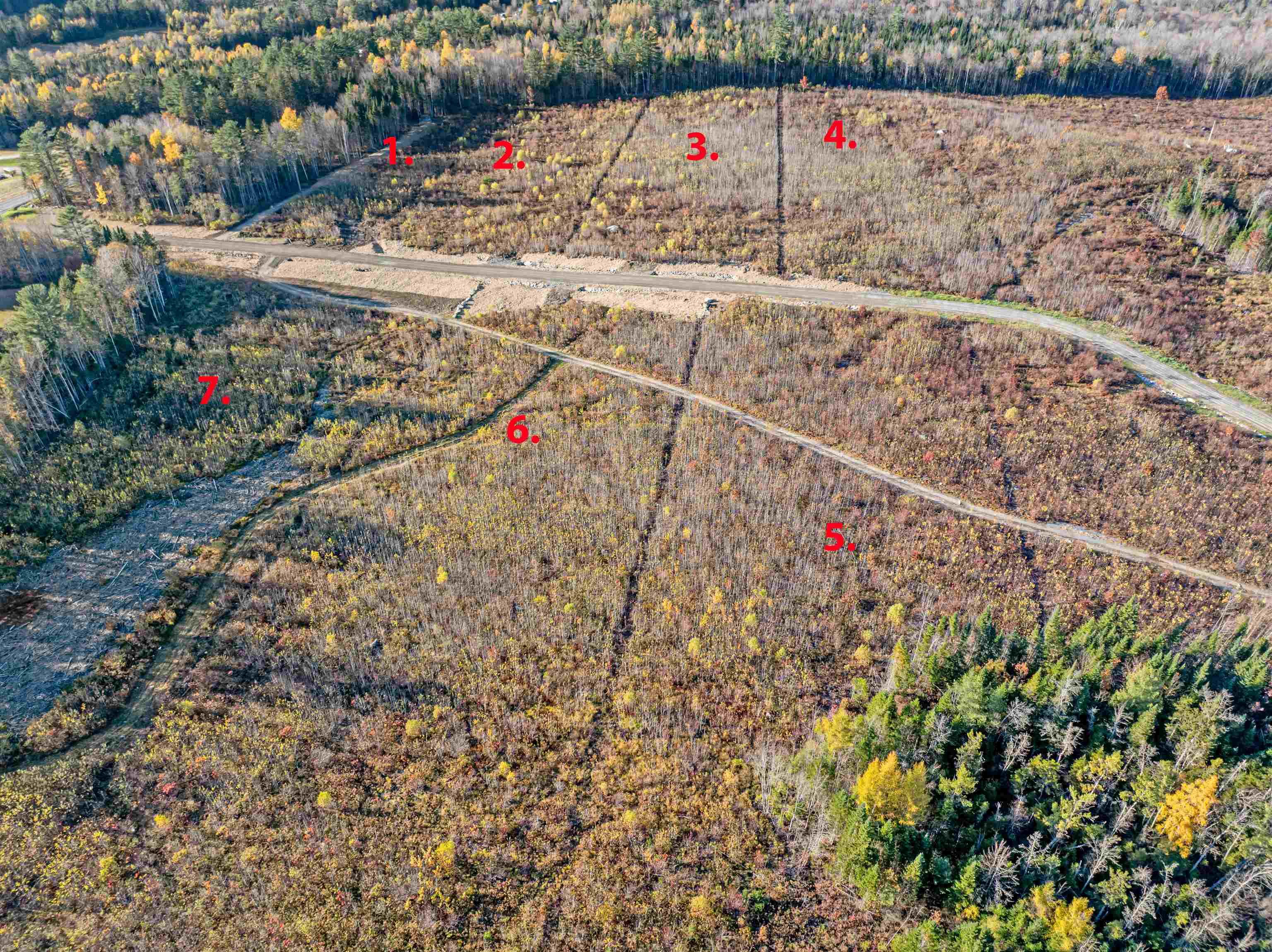 Image 1 Image 1
