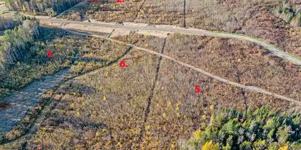 Image 1 Image 1