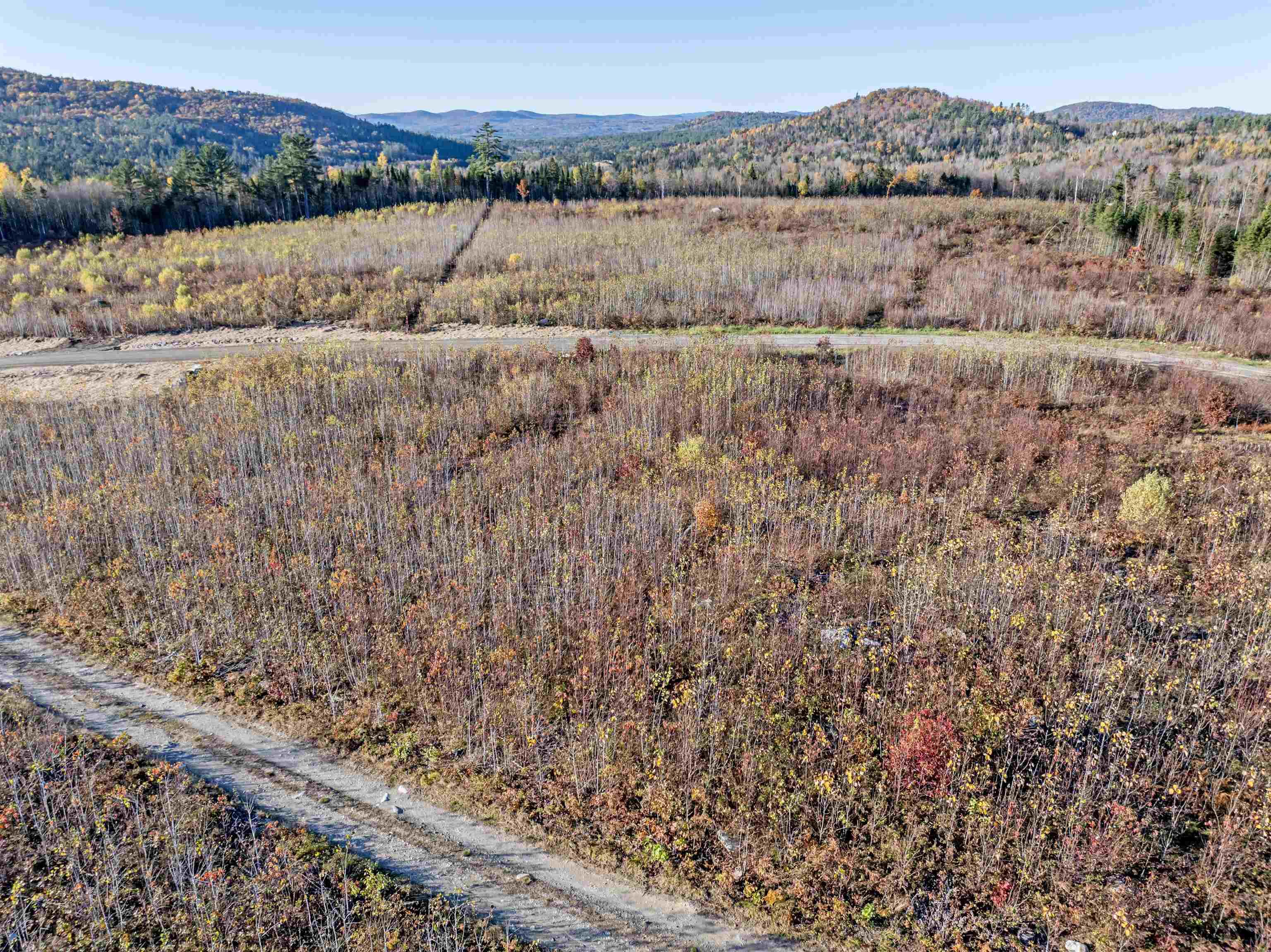 Image 1 Image 1