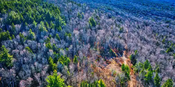 09 Overlook Drive