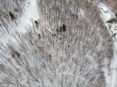 Lot 13 Mountainside Drive
