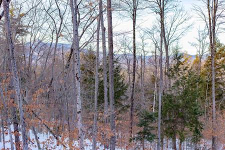 876 Page Hill Road
