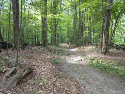 Lot 2 Faraway Road