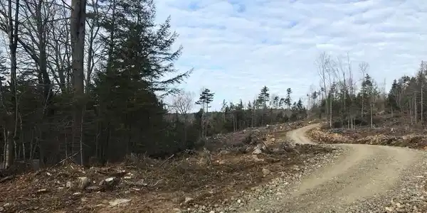 Map 6 Lot 96-2 Granite Lake Road