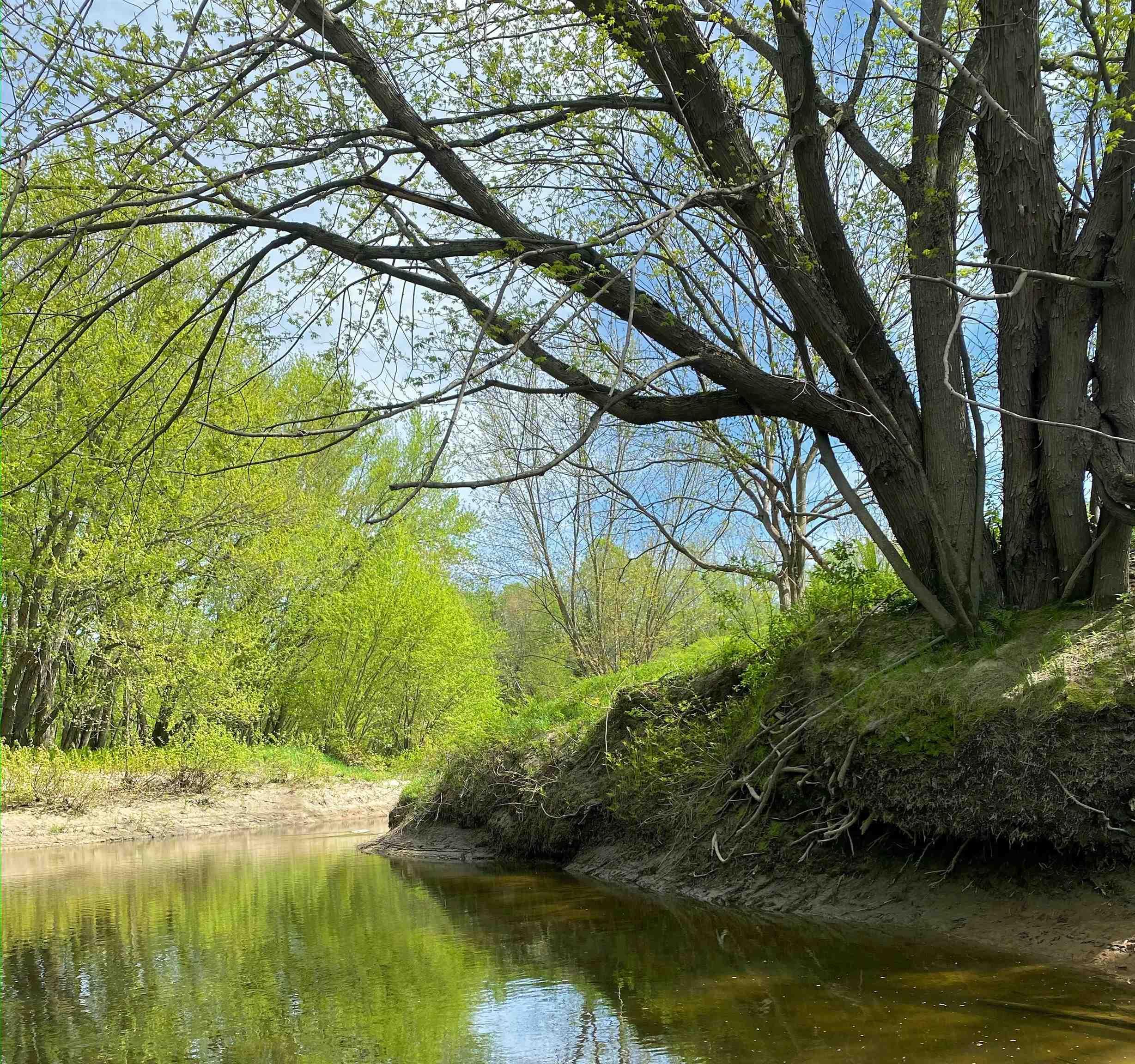 Image 3: Missisquoi River