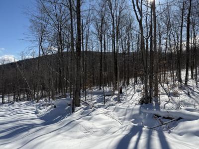S-1d Great Roaring Brook Road