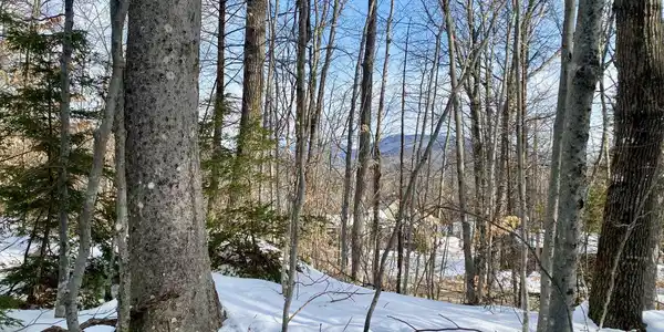 Popple Hill Road