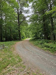 318 Skyboro W Road