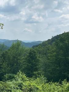 0 Finel Hollow Road