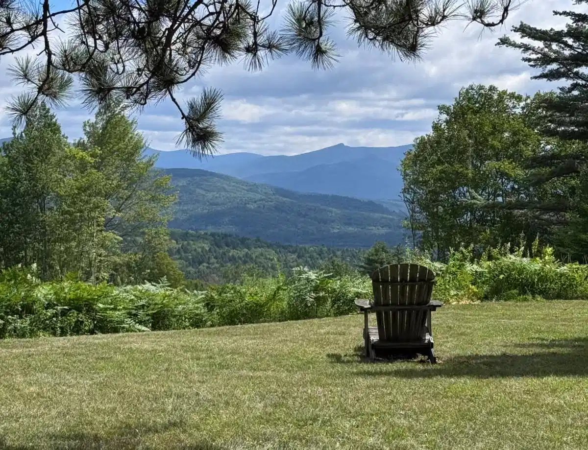 Image 1 Image 1