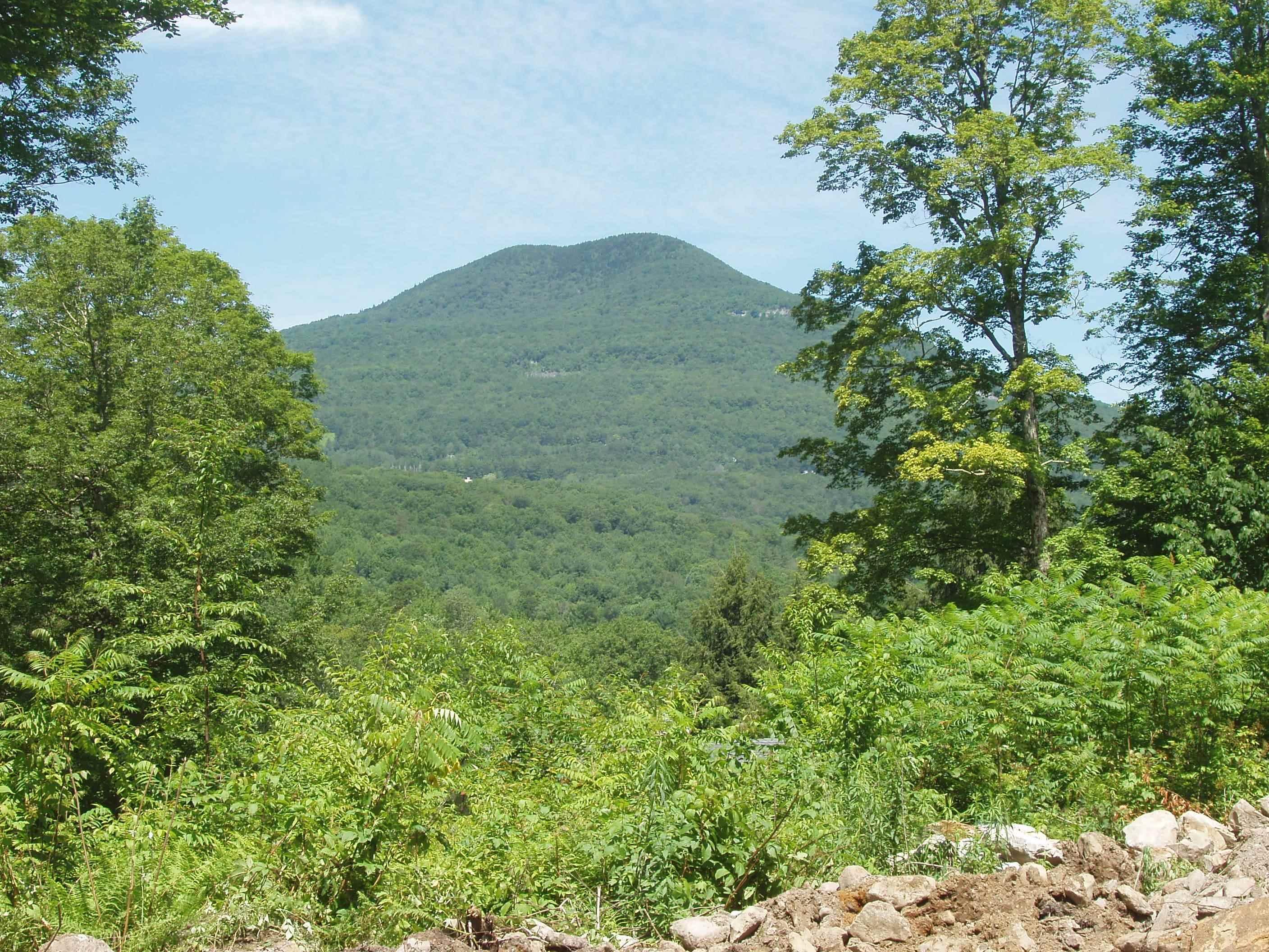 Image 1 Image 1