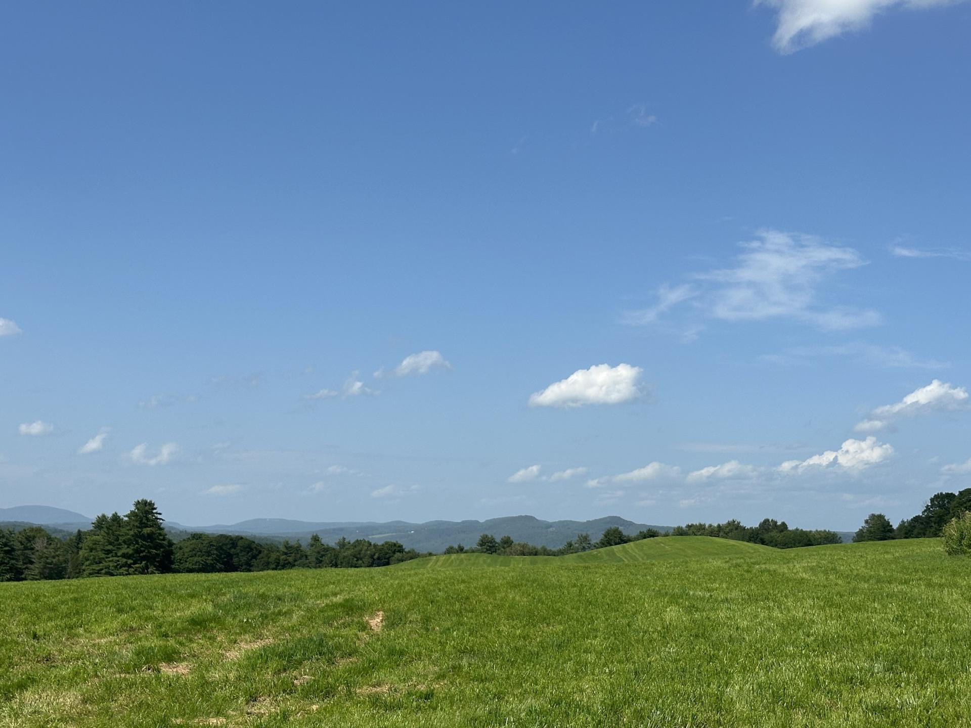 Image 4 Image 4