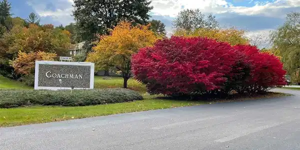 23 NH Route 49