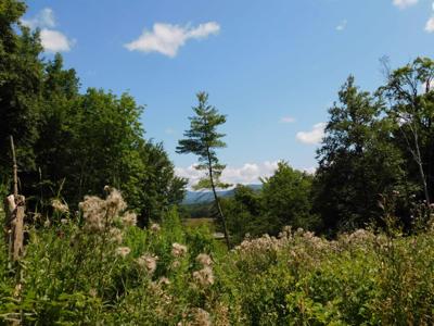 2009 Creek Road