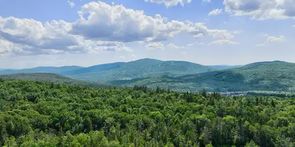 Image 3: Views Of Okemo Mtn