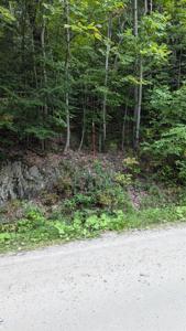 Hawk Mountain Road