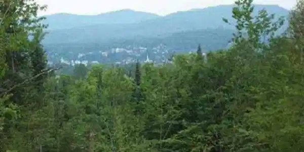Old Franconia Road