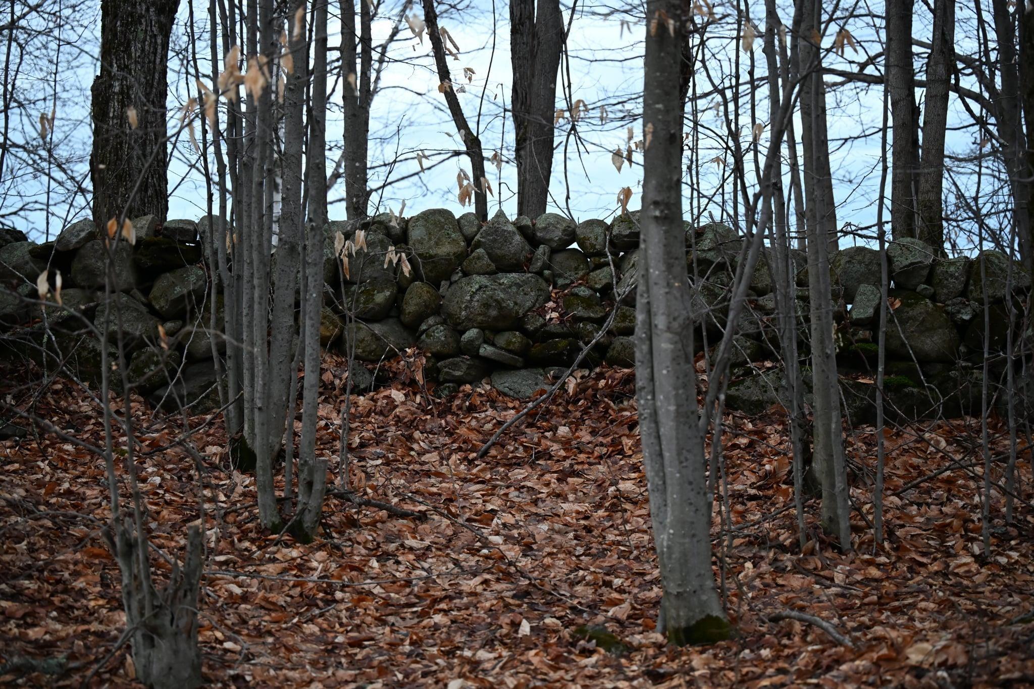 Image 2 Image 2
