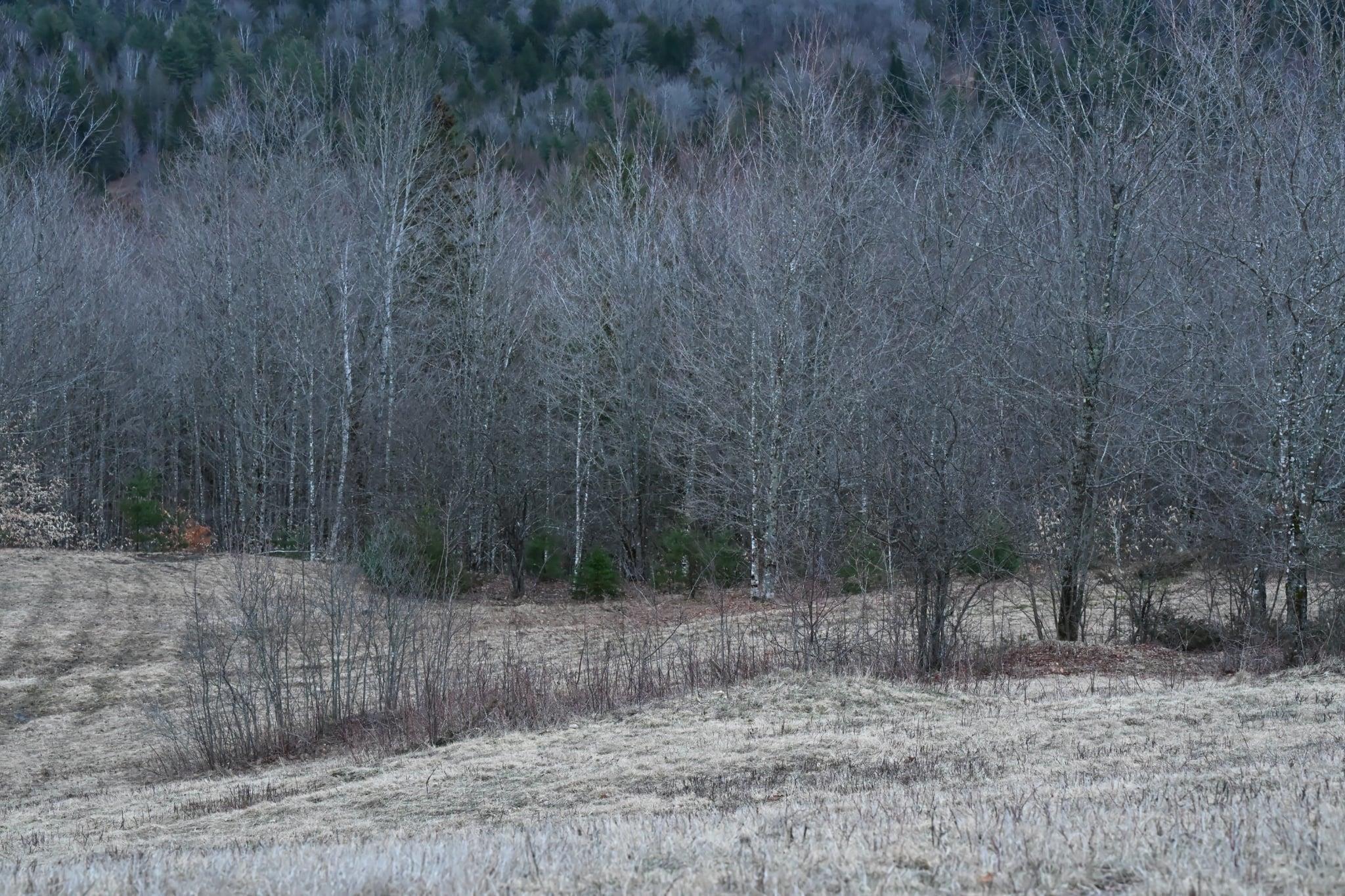 Image 3 Image 3