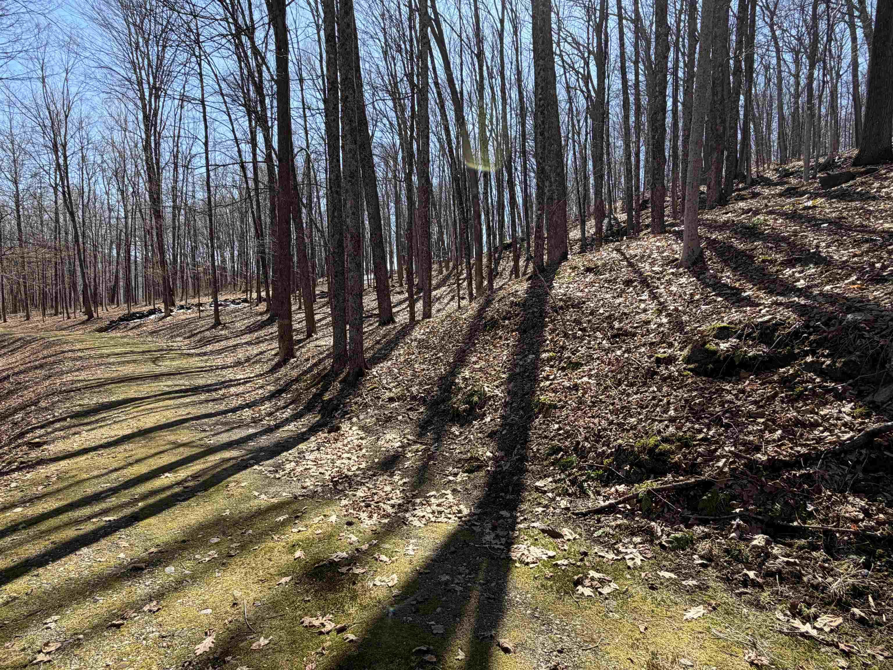 Image 4 Image 4
