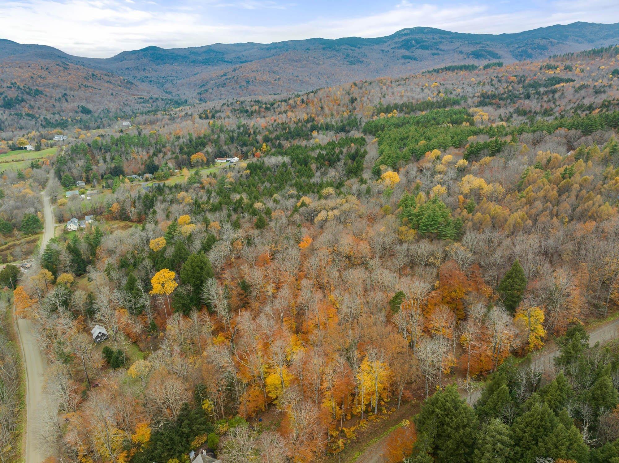 Image 1 Image 1