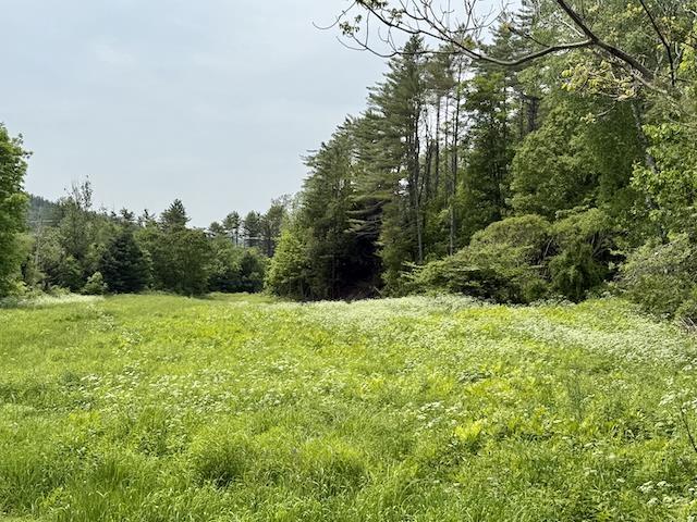Image 3 Image 3