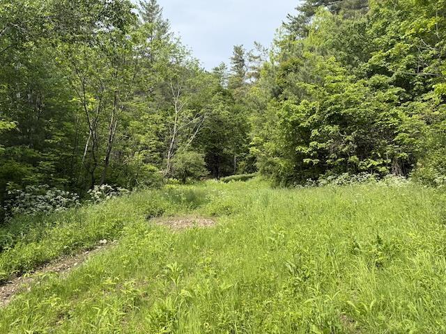 Image 4 Image 4