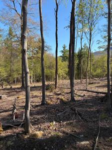 lot A Frost Pond Road