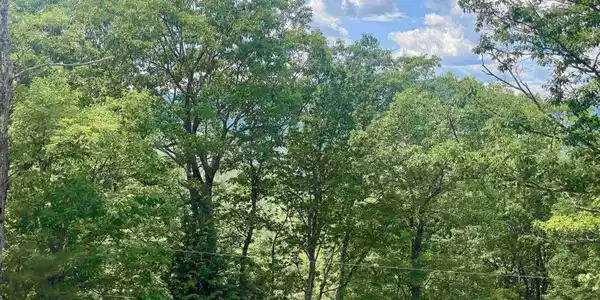 Image 2 Image 2