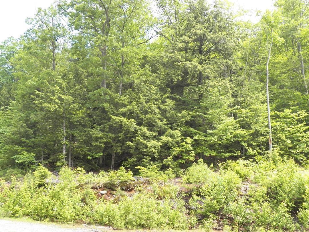 Image 4 Image 4