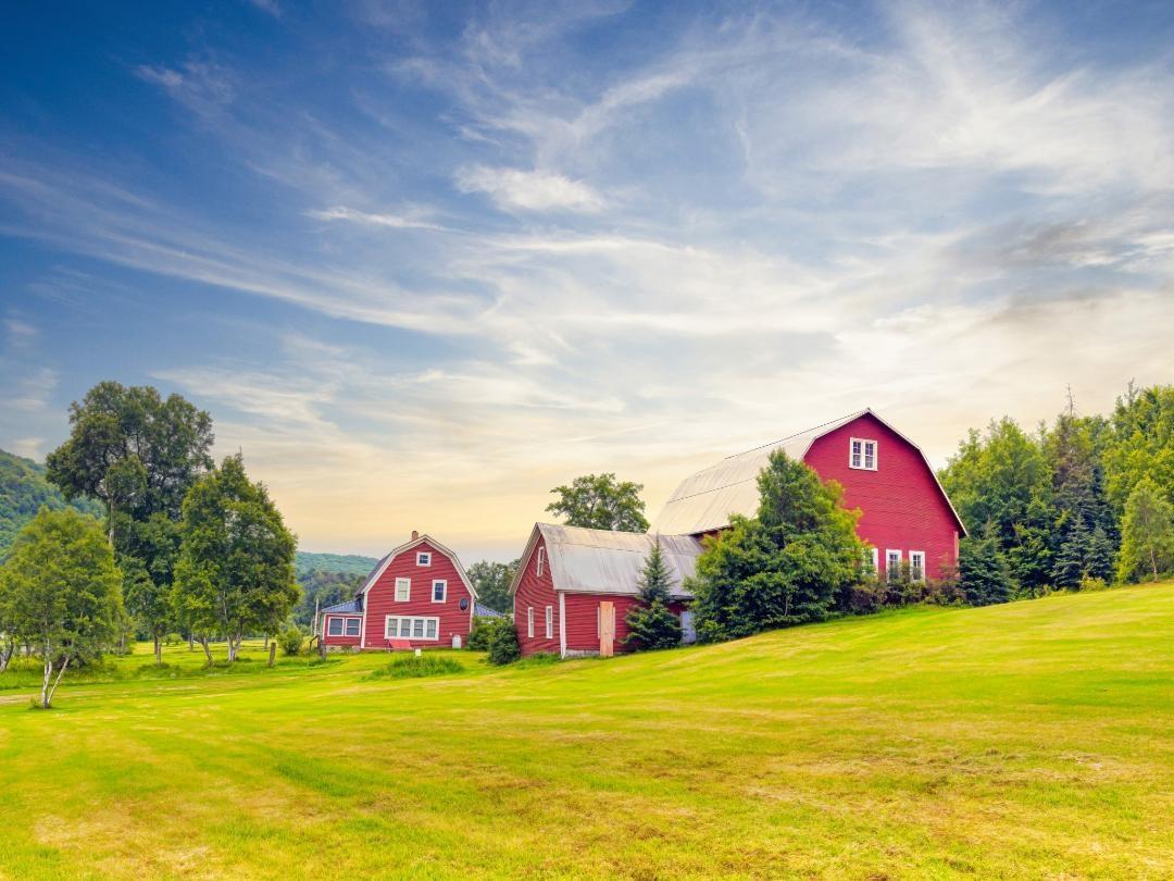 Image 2: Lots of space and excellent soils., The expansive yard