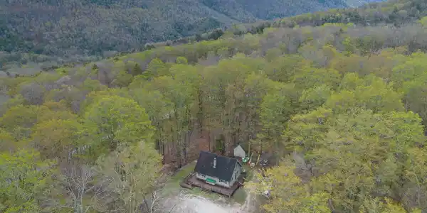 393 Tanglewood Drive