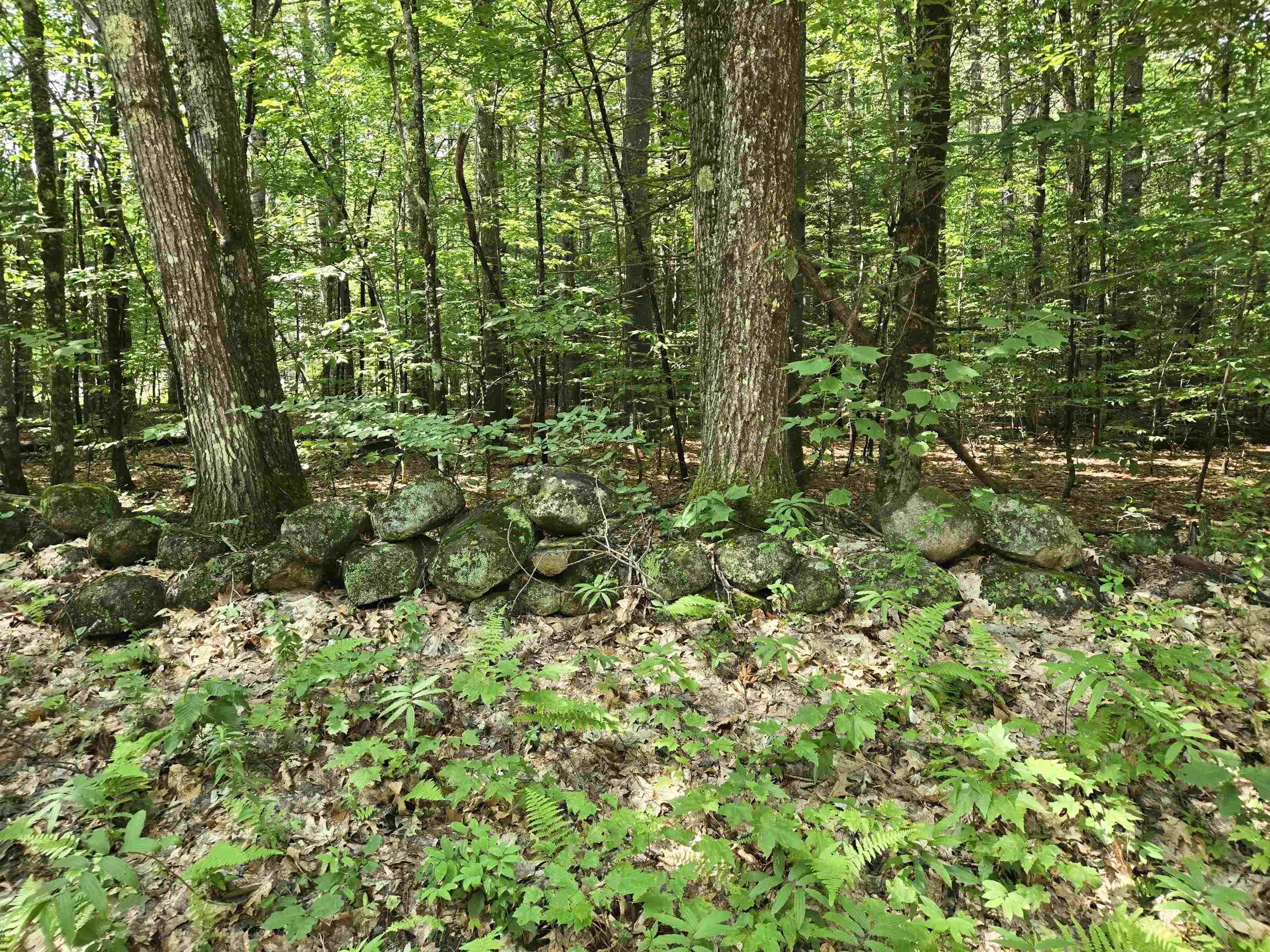 Image 3 Image 3