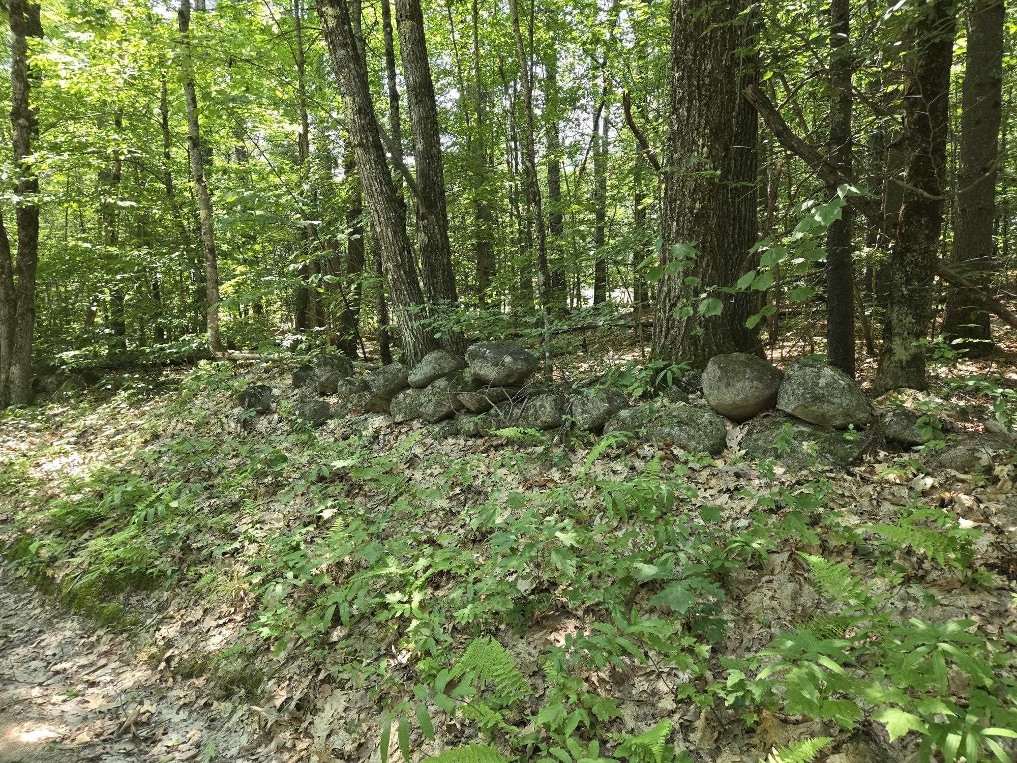 Image 4 Image 4