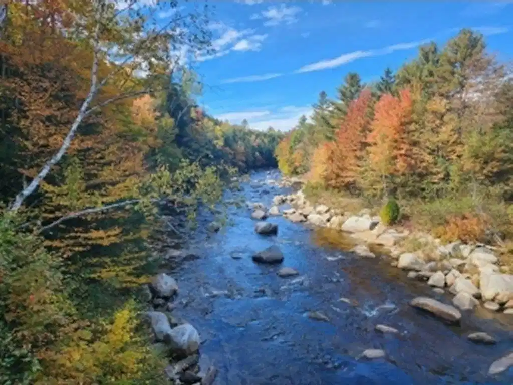 Image 1 Image 1