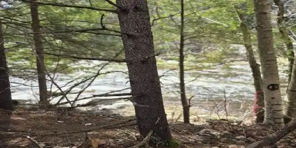 Image 4 Image 4