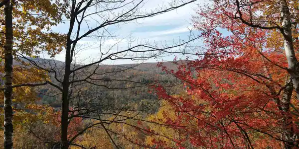Image 2: Fall view from the lot.