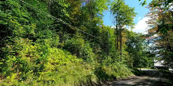 Image 4: Lot on left side of road