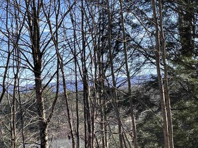 Lot 5 Haley Drive