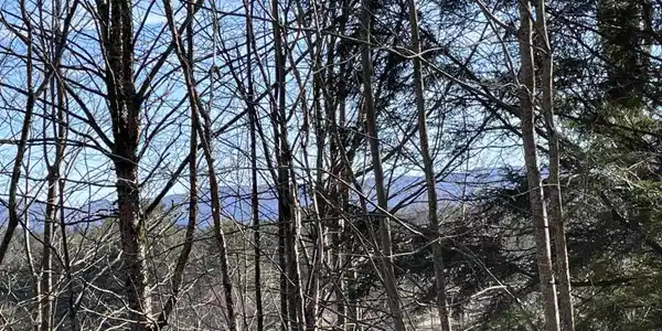 Lot 5 Haley Drive