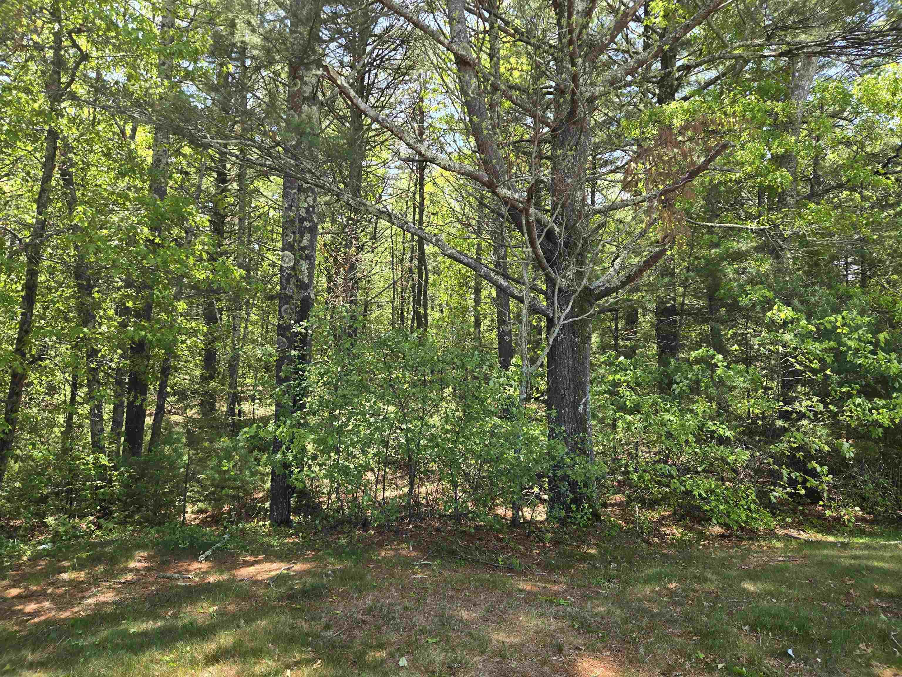 Image 1 Image 1