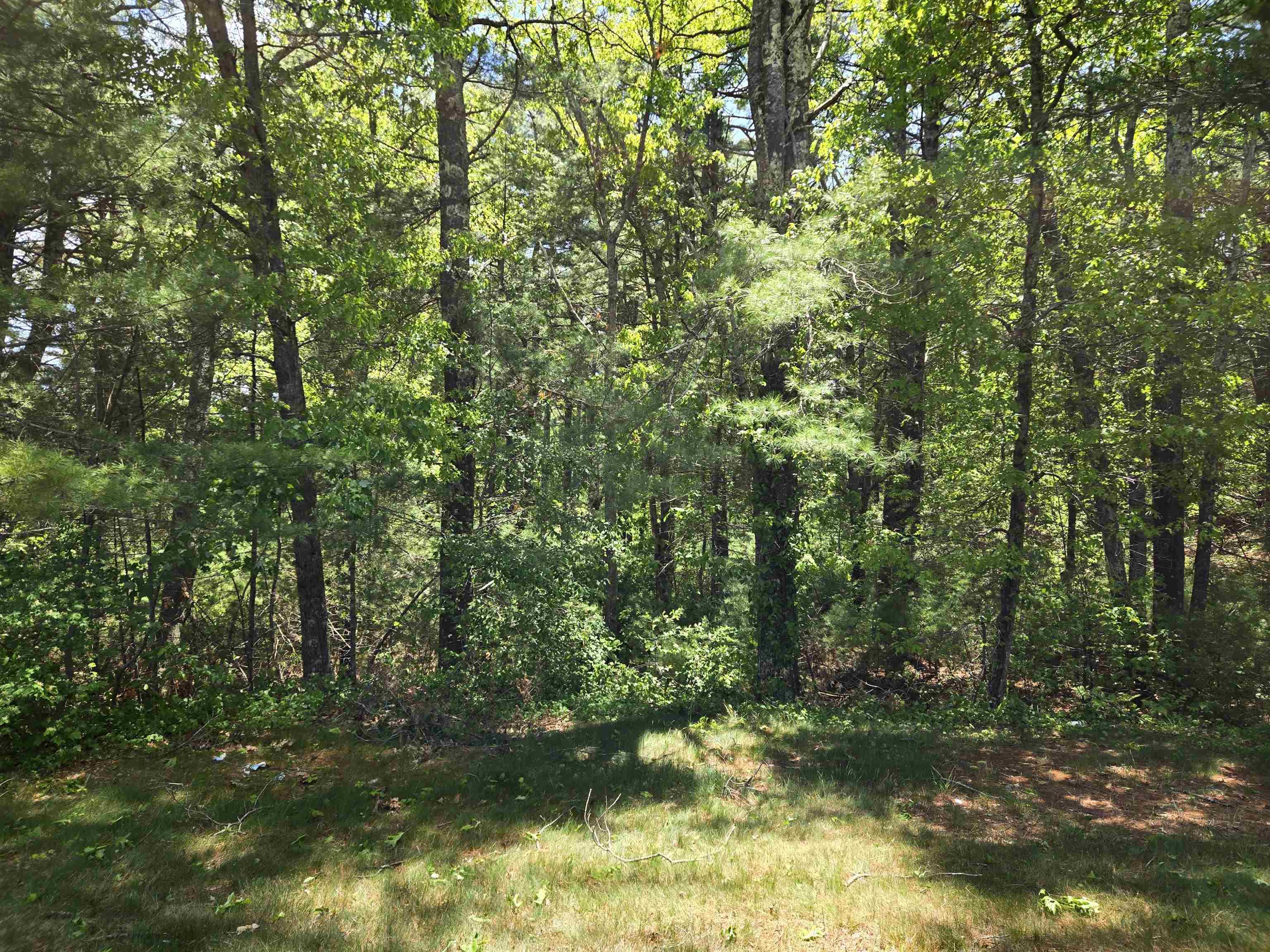 Image 2 Image 2