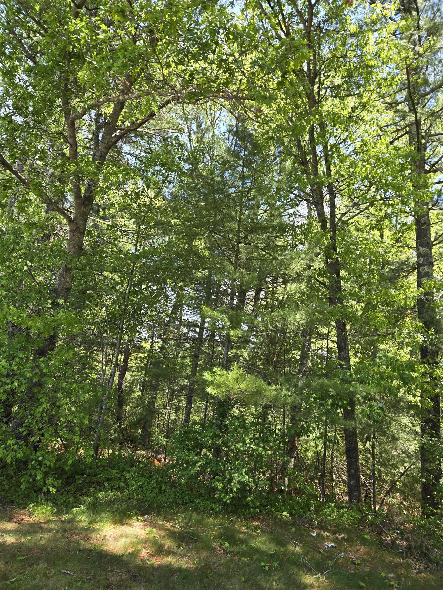 Image 3 Image 3