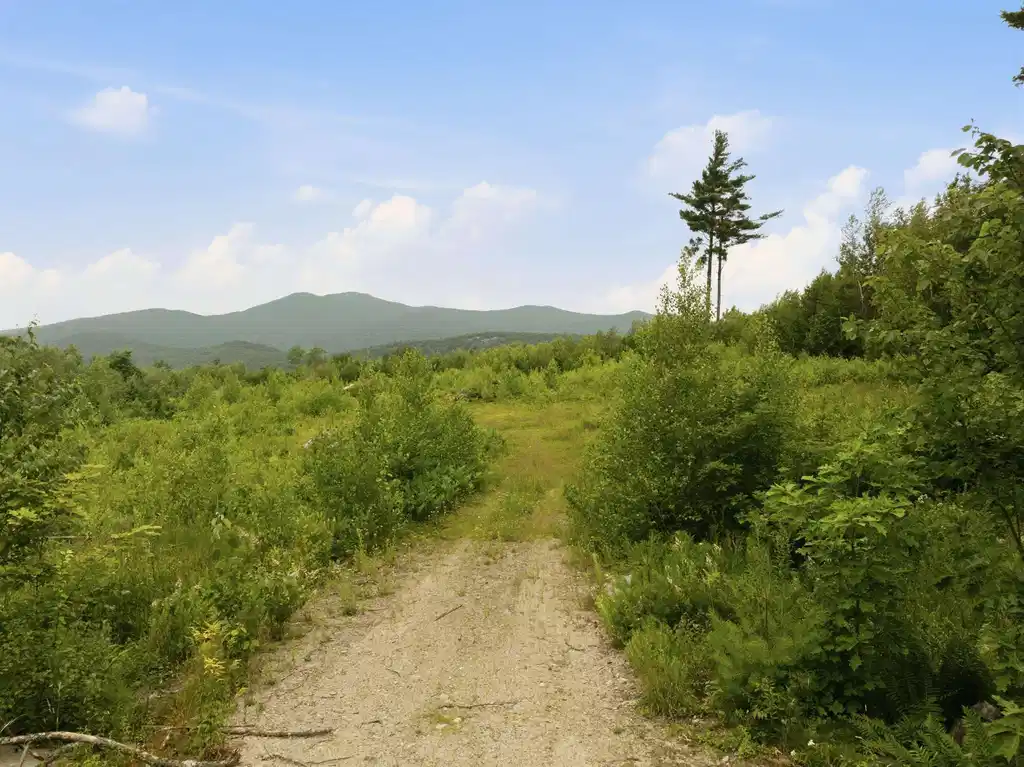 Image 1 Image 1