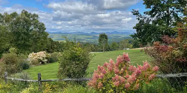 Image 3: Gardens along the driveway