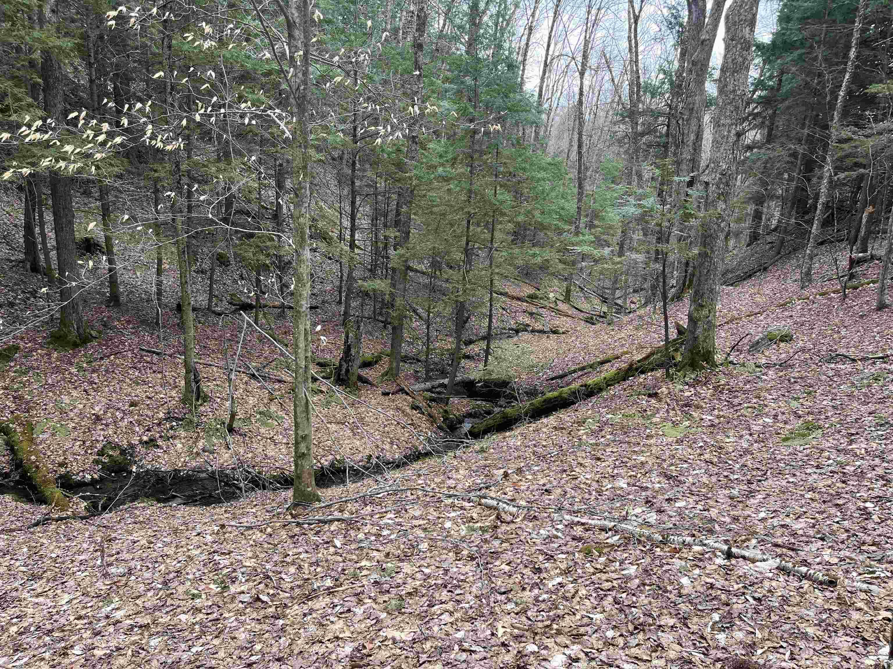 Image 1: Looking down to stream that borders Lot 4 Image 1: Looking down to stream that borders Lot 4