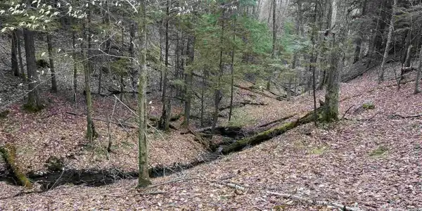 Lot 4 Haley Drive