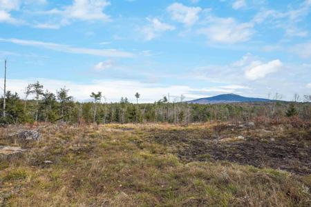Lot 8 Maple Lane