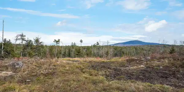 Lot 8 Maple Lane