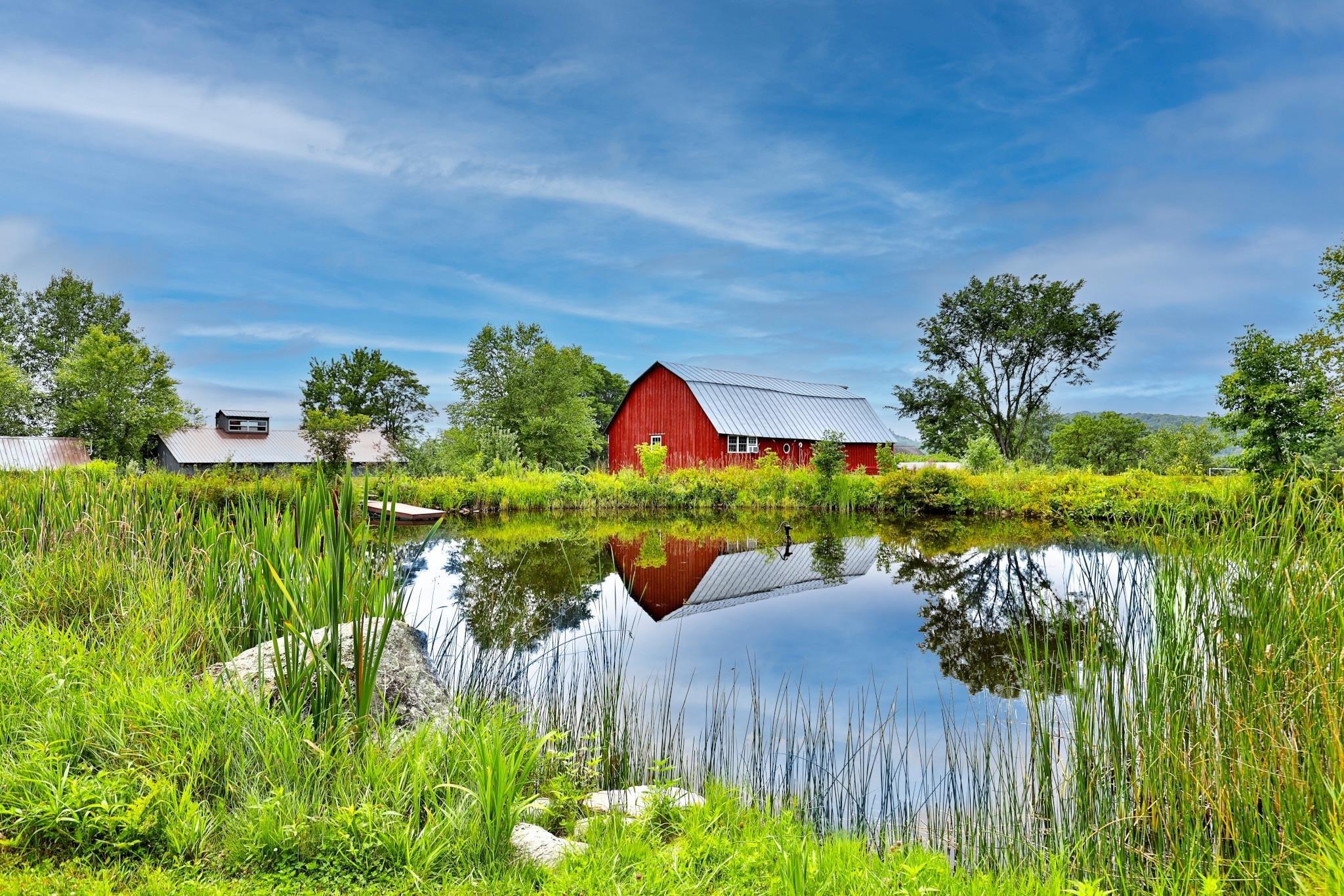 Image 2: One of two ponds